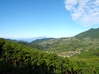 河内の山.JPG