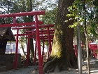 青井阿蘇神社内＿青井稲荷神社.JPG